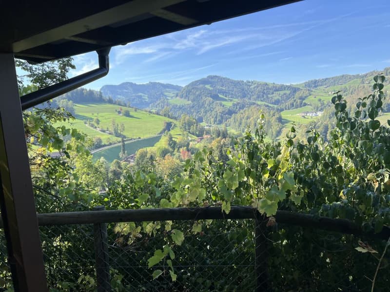 Chalet mit Aussicht - naturnah wohnen in Mogelsberg (5)