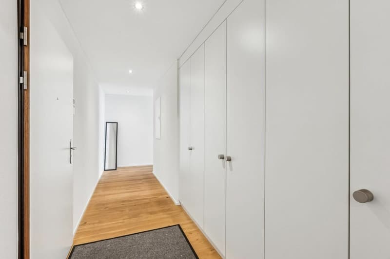 Garden-level apartment in Glattpark (14)