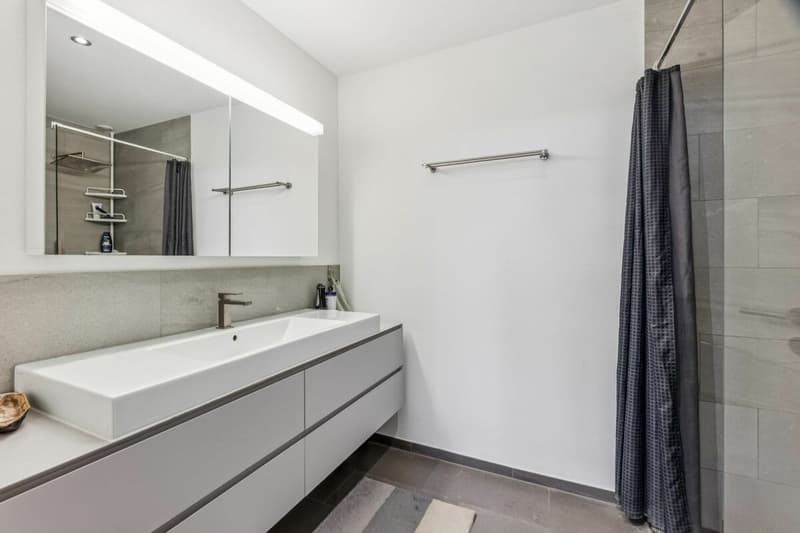 Garden-level apartment in Glattpark (8)