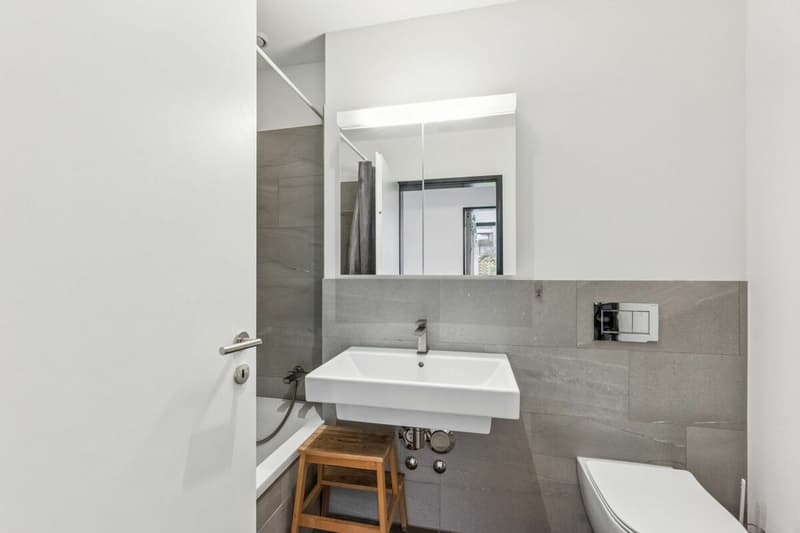Garden-level apartment in Glattpark (6)