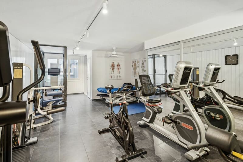 Exklusive Seeresidenz an Toplage am Hallwilersee (12)