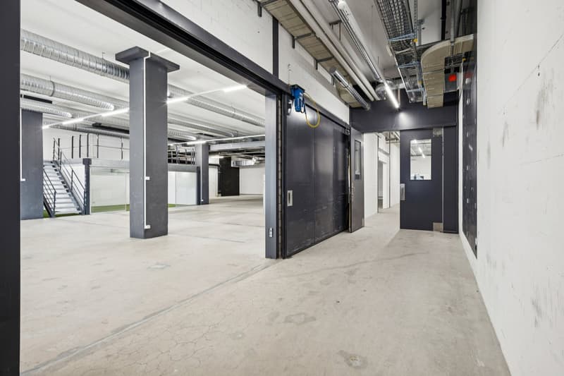 IN AFFITTO: LOCALI COMMERCIALI ECCEZIONALI A NEUCHÂTEL (6)