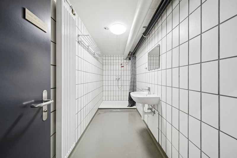 IN AFFITTO: LOCALI COMMERCIALI ECCEZIONALI A NEUCHÂTEL (7)