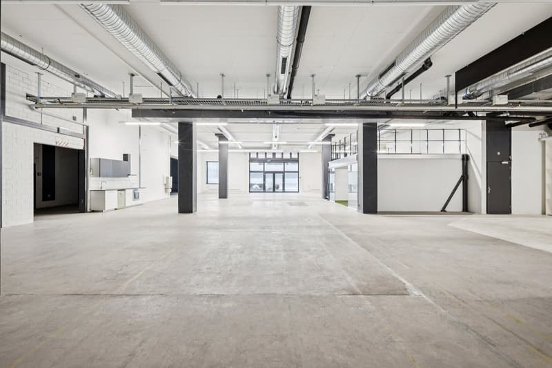 IN AFFITTO: LOCALI COMMERCIALI ECCEZIONALI A NEUCHÂTEL (4)