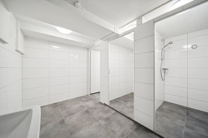 IN AFFITTO: LOCALI COMMERCIALI ECCEZIONALI A NEUCHÂTEL (8)