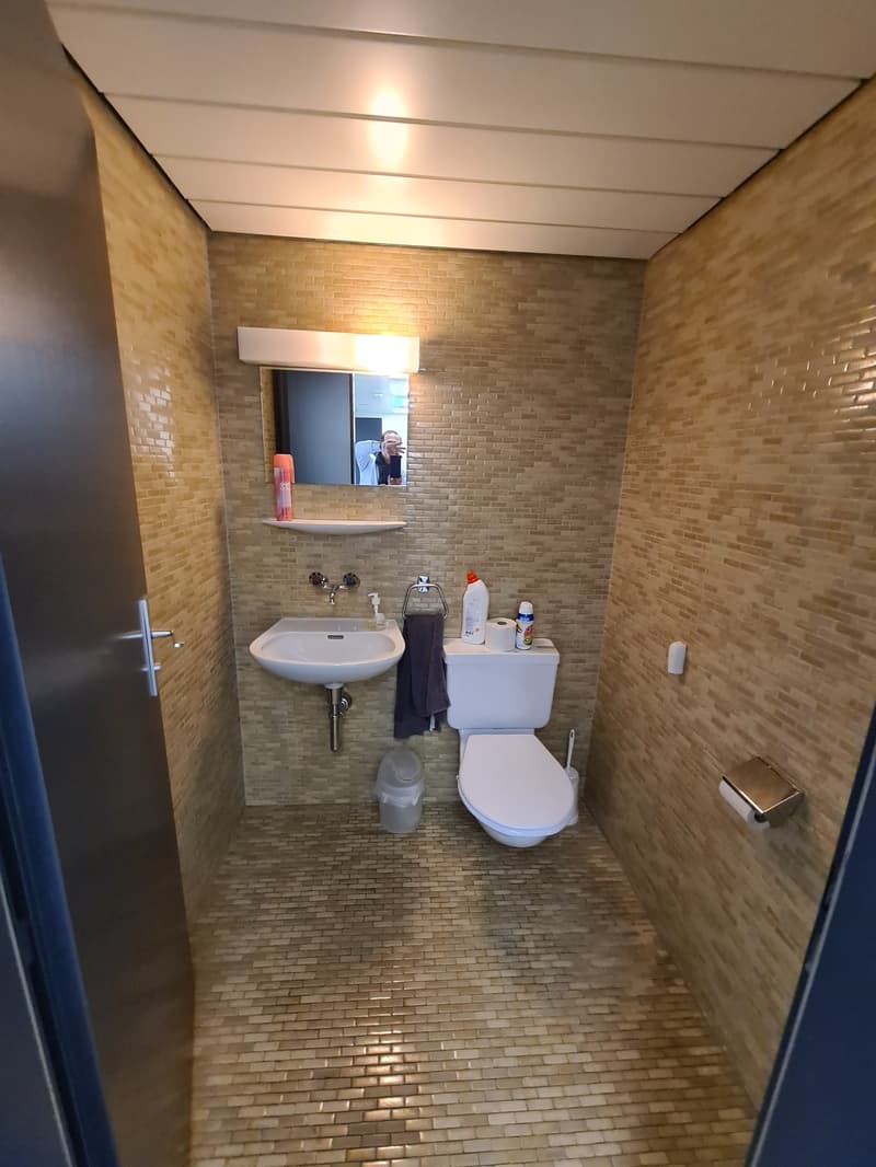 Bathroom with brick walls, sink, toilet, and a private washing machine