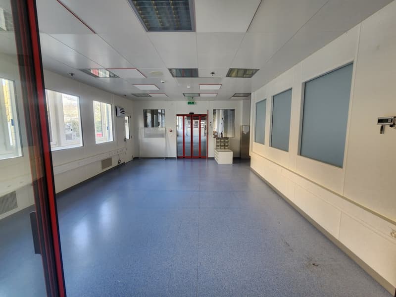 Empty room, fluorescent ceiling lights, glass doors, blue floor, white walls, windows