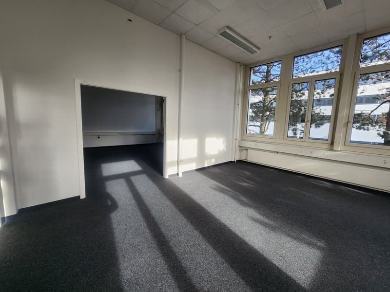 Empty room with white walls, large windows, carpet floor, shadow lines