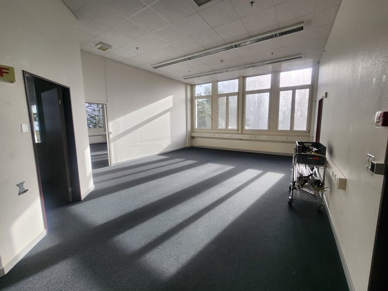 empty room, grey carpet, 3 large windows, doorway, white walls, trolley with various items