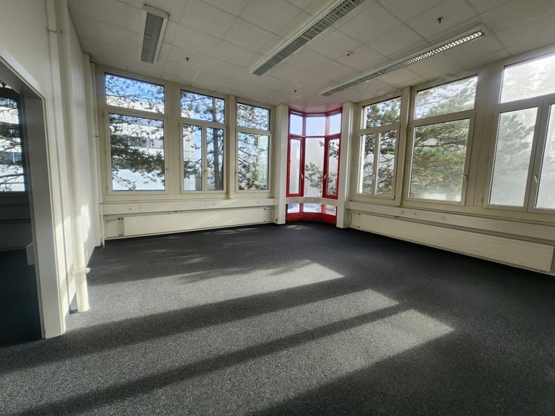 large room, carpeted floor, many windows, bright sunlight