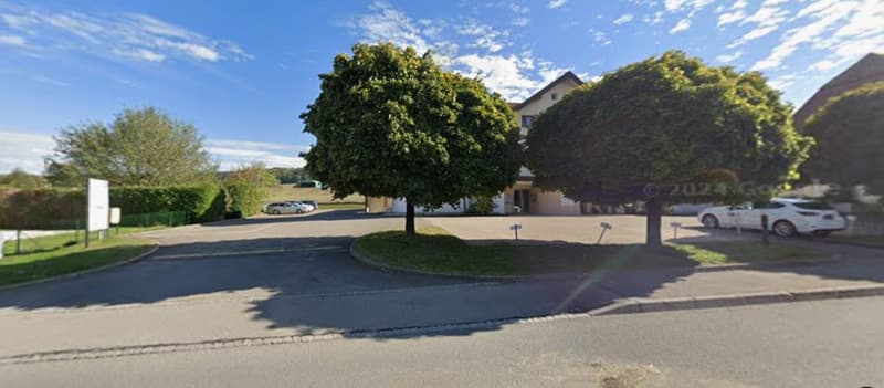 Single-family house, white exterior, 3 cars parked in front, surrounded by greenery