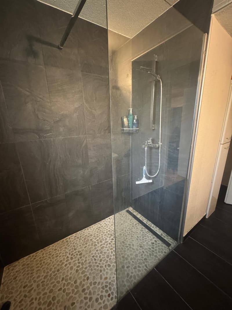 Modern shower with grey tiles, glass shower door, and dark wood floor