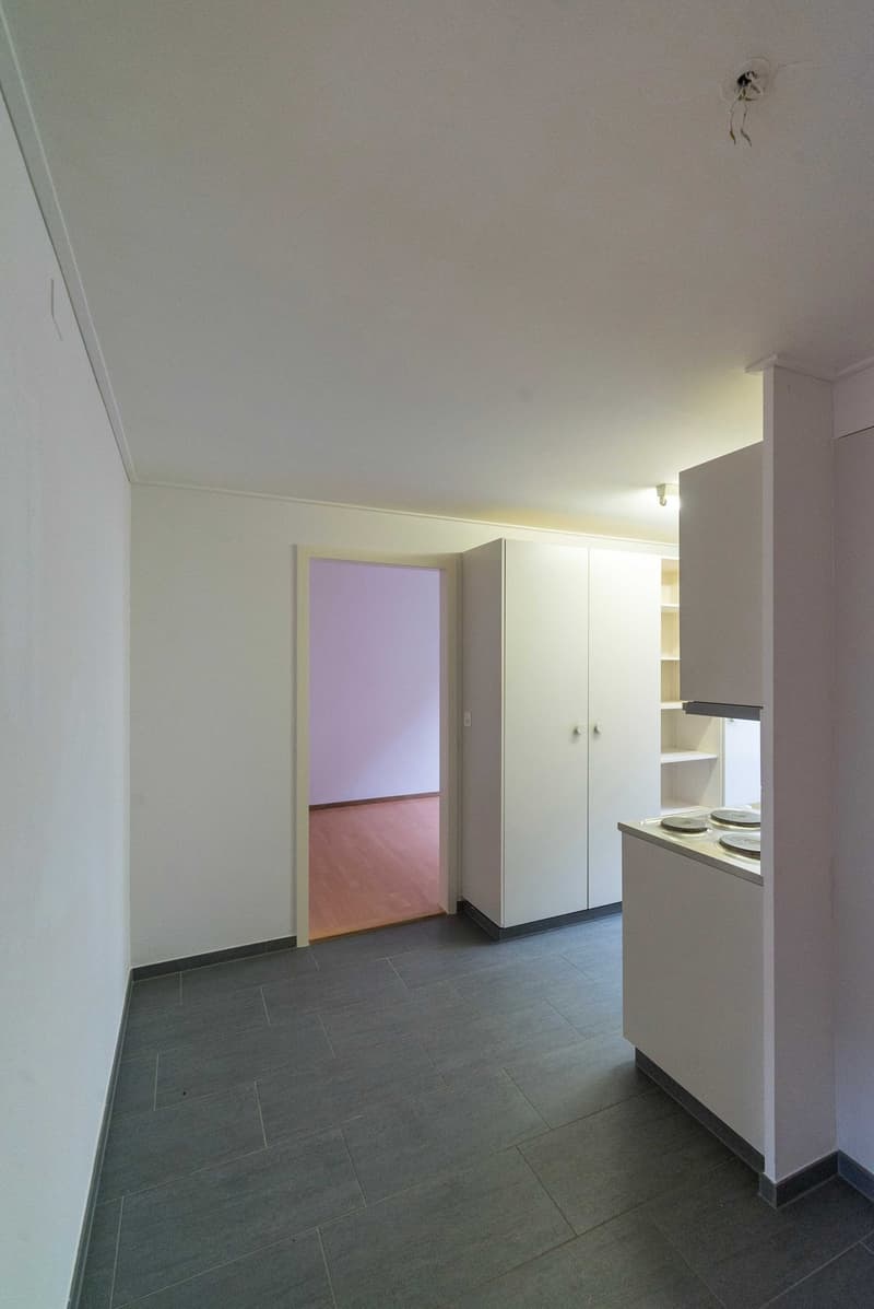 Charmant et très lumineux appartement de 3 chambres avec hall/cuisine et salle de bain (6)