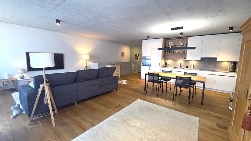Open plan living room and kitchen, wooden floor, white walls, modern furniture, dining table, couch, lamps, TV, kitchen appliances