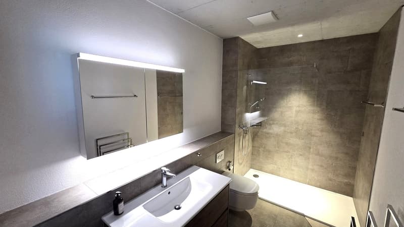 modern bathroom with white sink, mirror, toilet, shower, and tiled walls