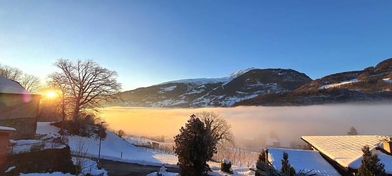 Traumsicht