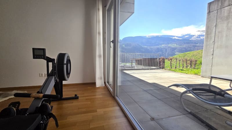 viele private Terrassen