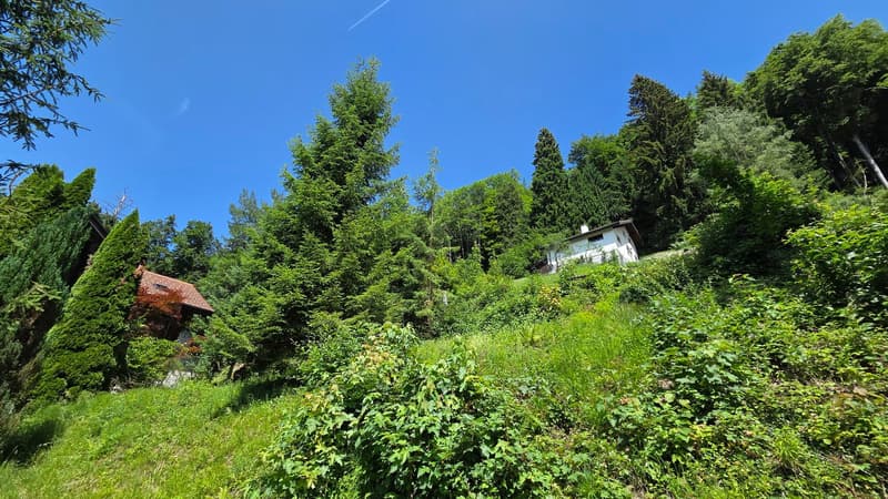 Building land W1a in a wonderfully beautiful, extremely quiet location at the top of Solenberg (4)