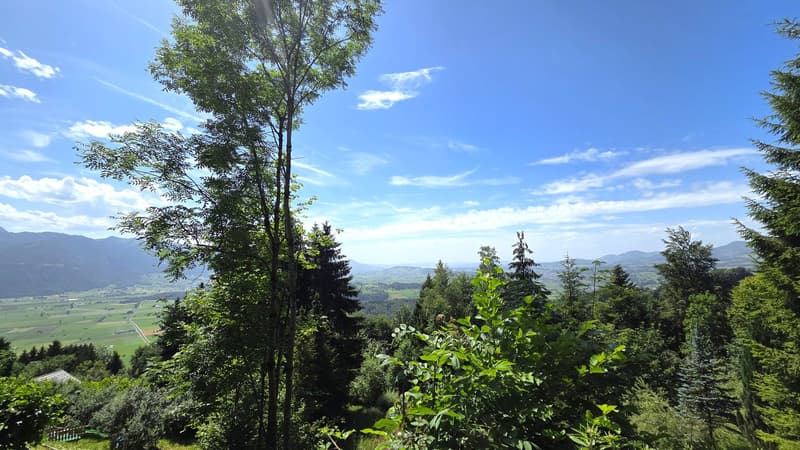 Building land W1a in a wonderfully beautiful, extremely quiet location at the top of Solenberg (2)