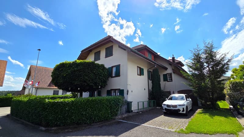 Ansicht Garage und Eingang