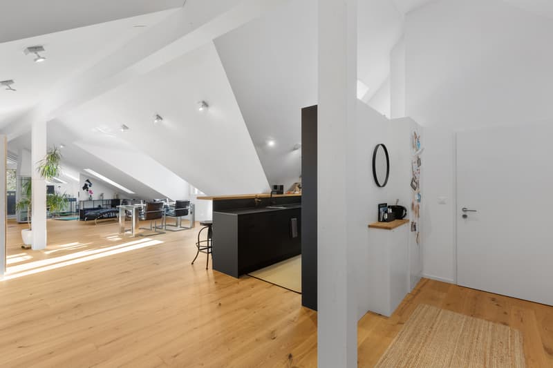 Appartamento loft esclusivo di 2,5 locali (3)