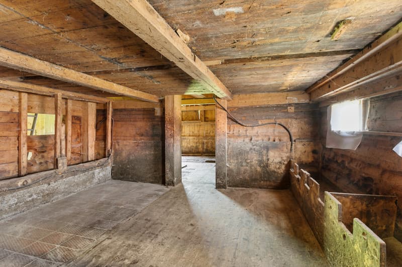 Casa colonica con fonte d'acqua propria (5)