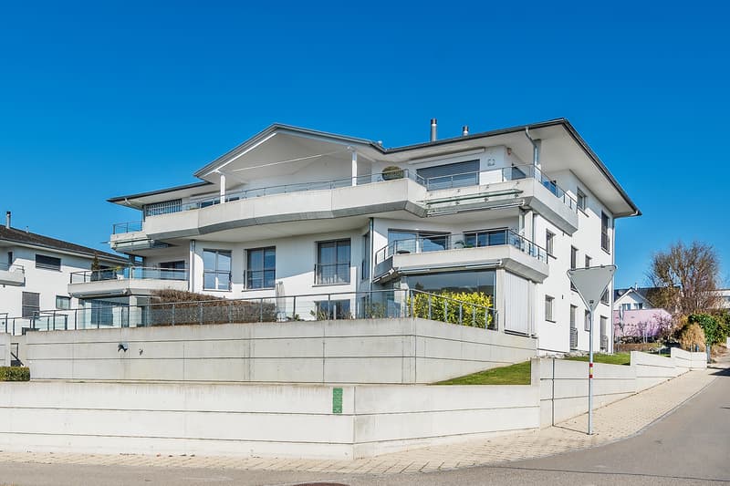Living on Lake Constance. What's more beautiful (2)