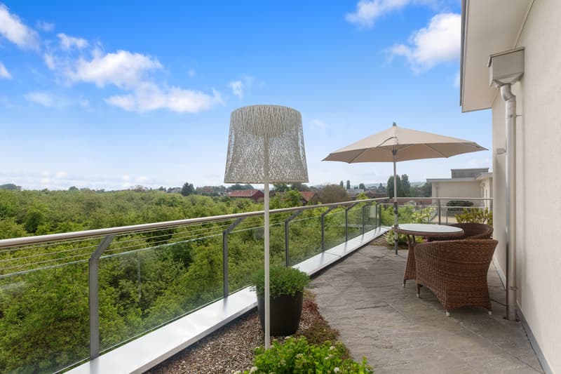 Exclusive panoramic view - living above the roofs (2)