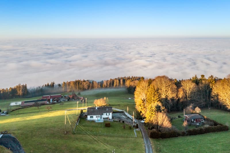Vivre au-dessus du lac de Constance - Maison avec vue imprenable sur le lac à Grub (2)
