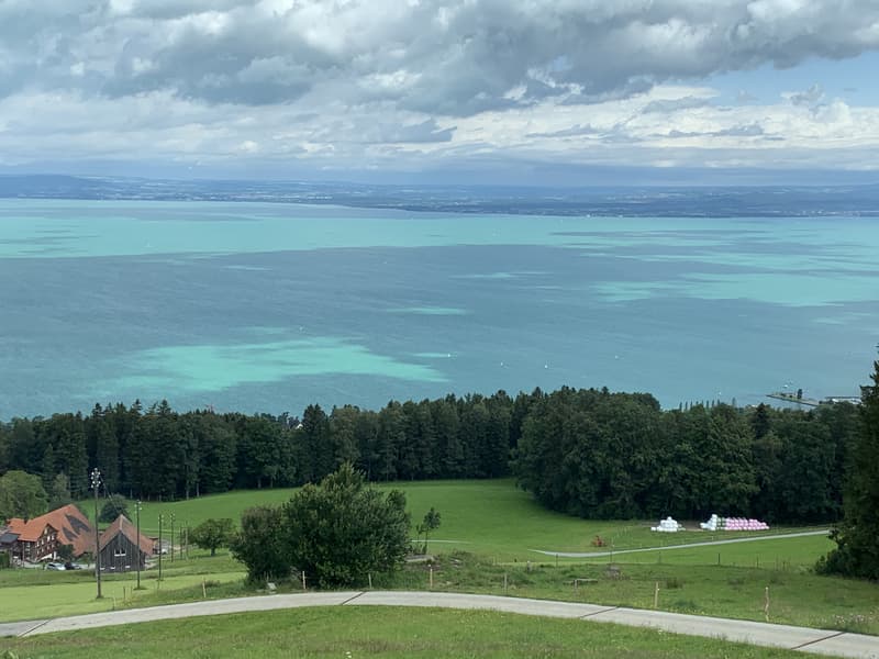 Vivre au-dessus du lac de Constance - Maison avec vue imprenable sur le lac à Grub (6)
