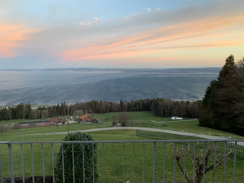 Vivre au-dessus du lac de Constance - Maison avec vue imprenable sur le lac à Grub (5)