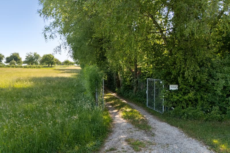 Private Nature Refuge at Hudelmoos - A Hidden Paradise Between (10)