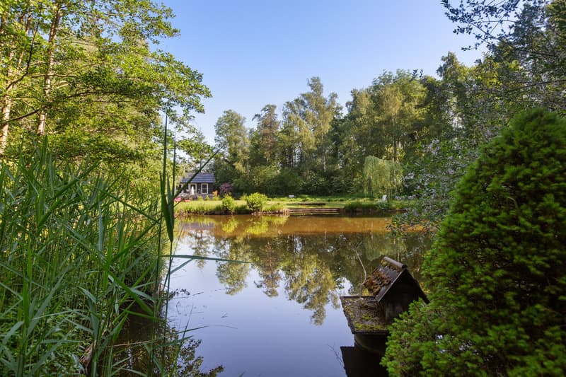 Private Nature Refuge at Hudelmoos - A Hidden Paradise Between (13)