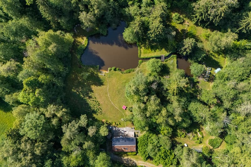 Private Nature Refuge at Hudelmoos - A Hidden Paradise Between (1)
