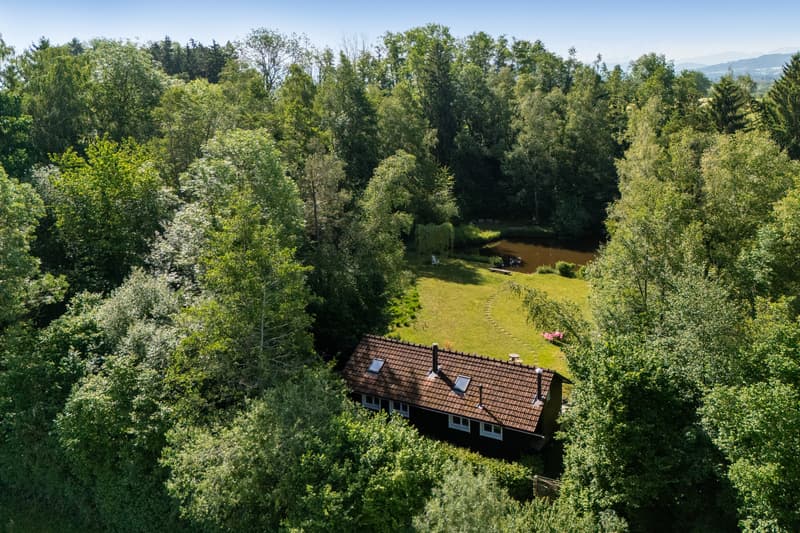 Private Nature Refuge at Hudelmoos - A Hidden Paradise Between (3)