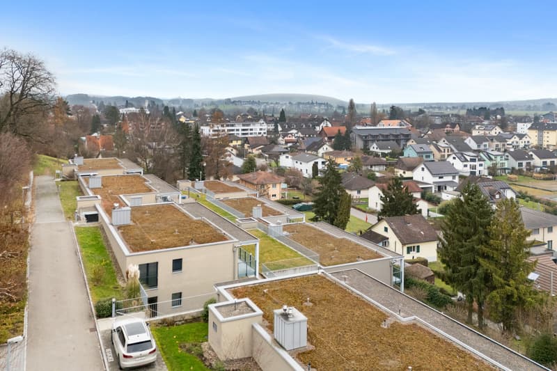 Panorama, paix et qualité de vie au niveau le plus élevé - 5,5 pièces exclusives (4)
