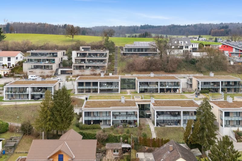 Panorama, paix et qualité de vie au niveau le plus élevé - 5,5 pièces exclusives (6)