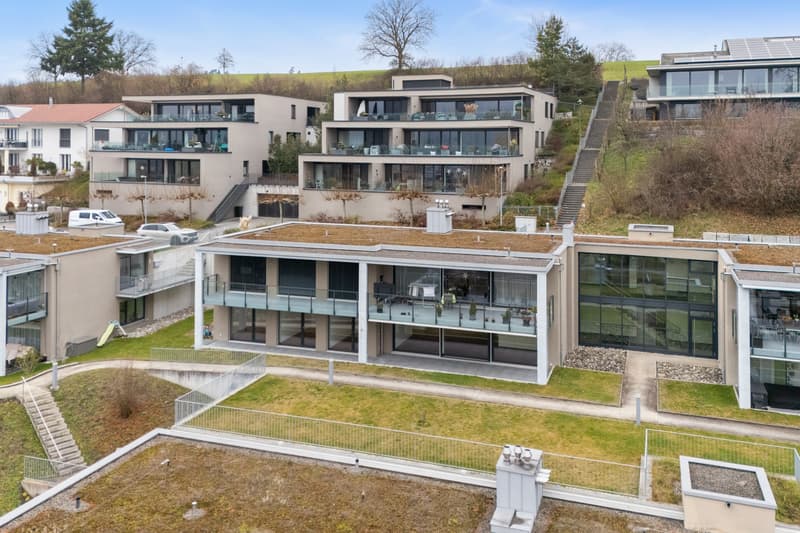 Panorama, paix et qualité de vie au niveau le plus élevé - 5,5 pièces exclusives (7)