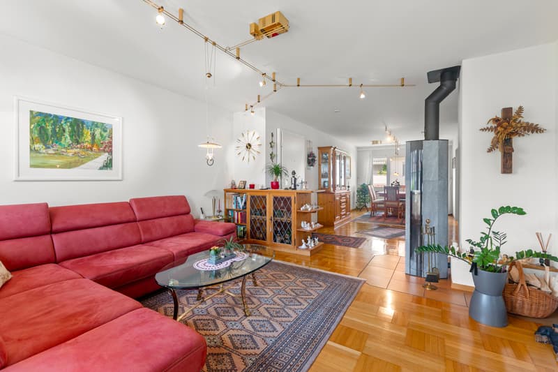 Well-maintained condominium with special living ambiance (2)