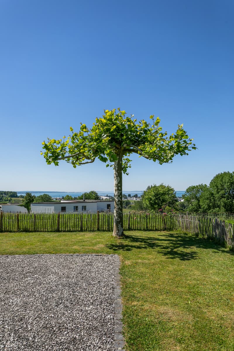 Wohnidylle mit naturnahem Aussenbereich (4)