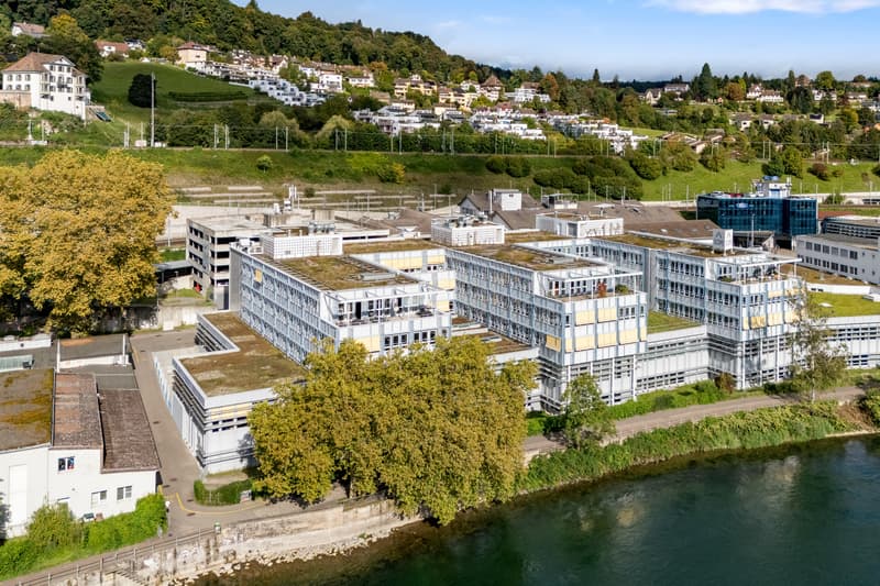 "TOP AUSGEBAUTE BÜROFLÄCHEN MIT BLICK AUF DEN RHEIN" (1)