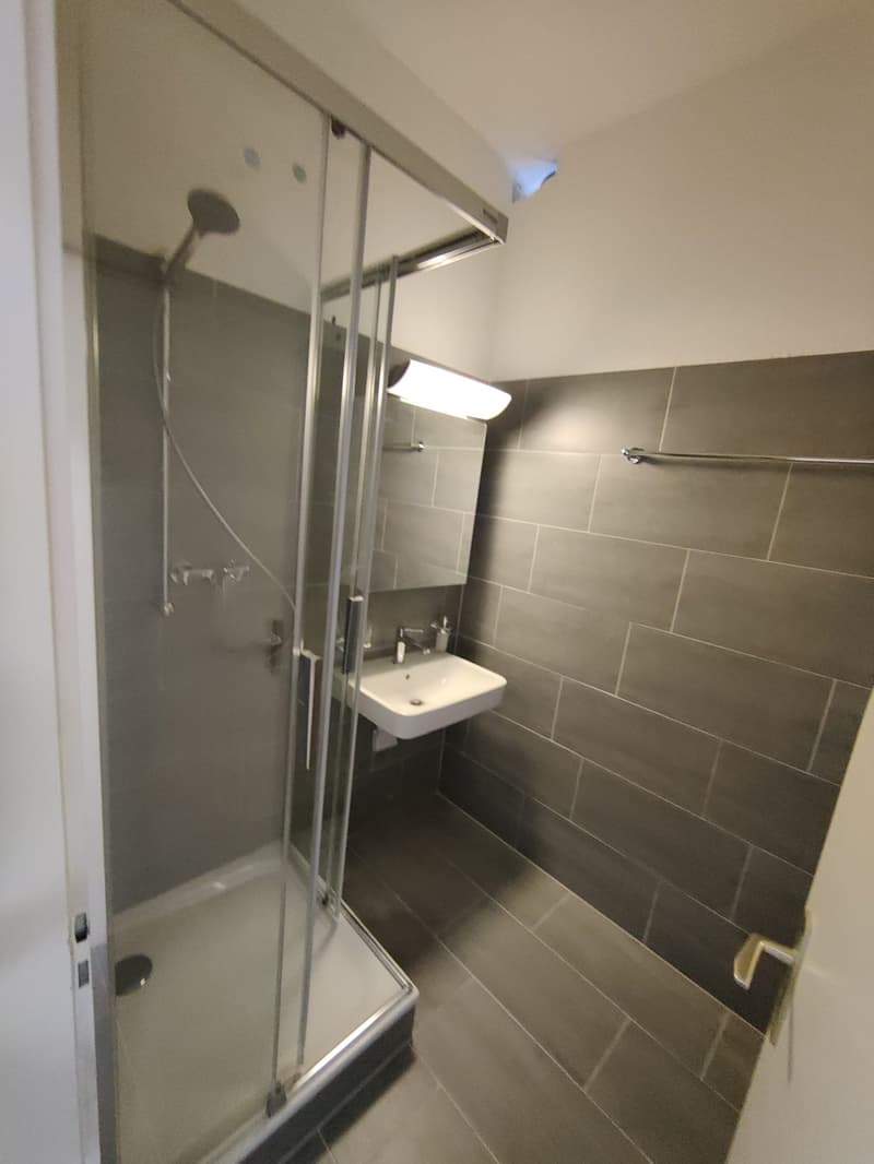 Bathroom with shower, sink, and tiled walls