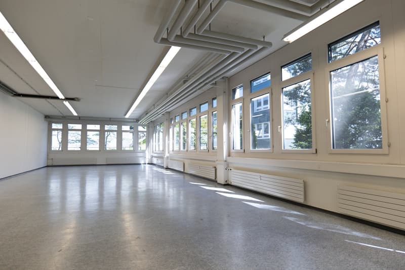 Bright commercial space with versatile usage potential (2)