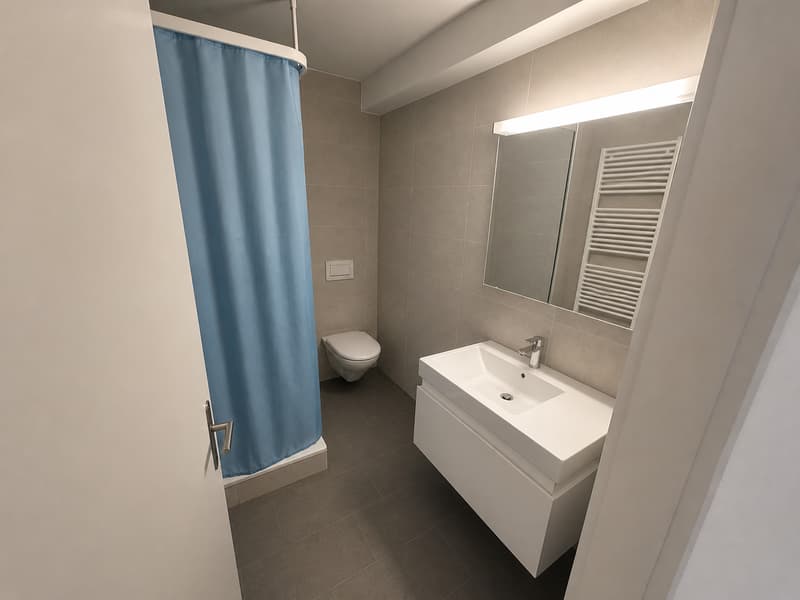 Appartement attractif de 4,5 pièces dans un quartier calme à Nussbaumen (7)