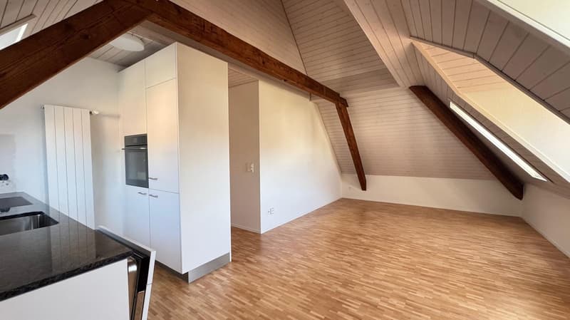 Charmant appartement mansardé avec galerie à Baden (2)