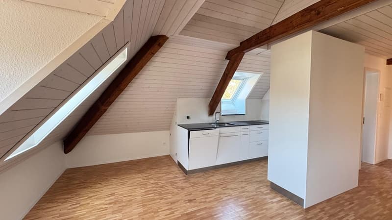 Charmant appartement mansardé avec galerie à Baden (3)