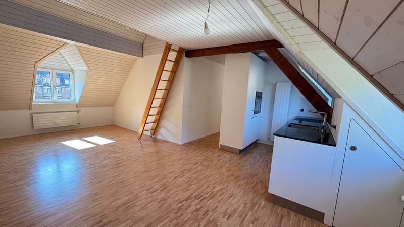 Habiter avec galerie à Baden (3)