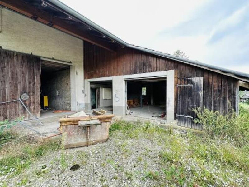 Antica casa colonica con grande appezzamento (12)