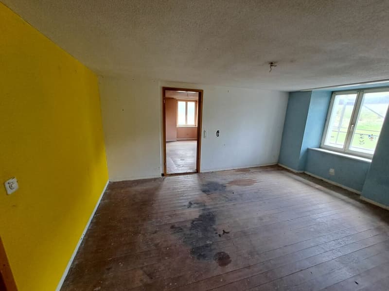 Antica casa colonica con grande appezzamento (7)