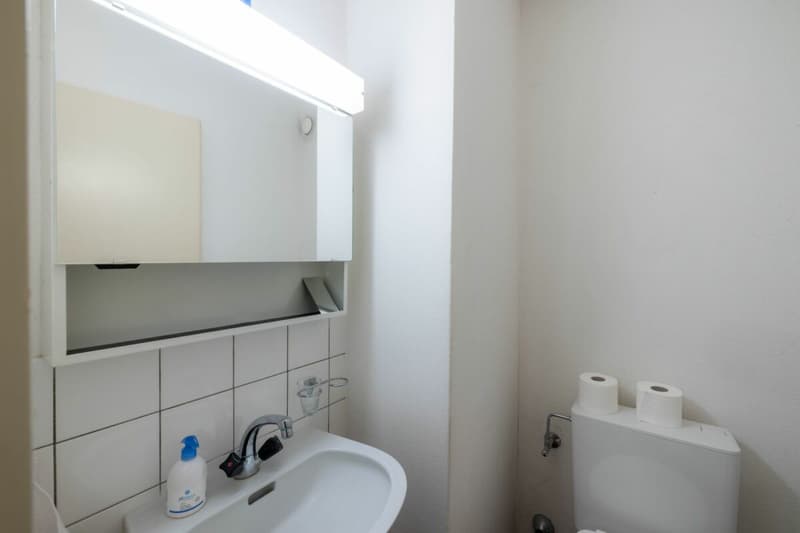 4,5 locali attico a Wallisellen (2)